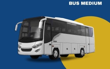 Medium bus for group transport