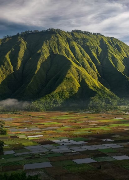 Green highlands and fields in Sembalun, Lombok